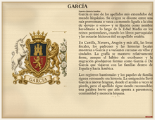 
Carregar imagem no visualizador da galeria, Muestra PDF Estándar — Familia García: historia del apellido y escudo asociado (muestra Herald Lab)