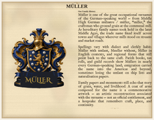 
Carregar imagem no visualizador da galeria, Beispiel Nachnamensherkunft — Die Familie Müller: Wappen links, Namensgeschichte rechts (Herald Lab) — denser Standard gallery sample