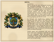 
Carregar imagem no visualizador da galeria, Sample Last Name Origin PDF — The Silva Family — dense Standard layout, coat of arms left, surname history right — Herald Lab SAMPLE